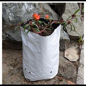 5 Gallon grow bags